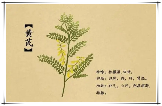 人參牡蠣壓片糖果生產(chǎn)公司_德州健之源